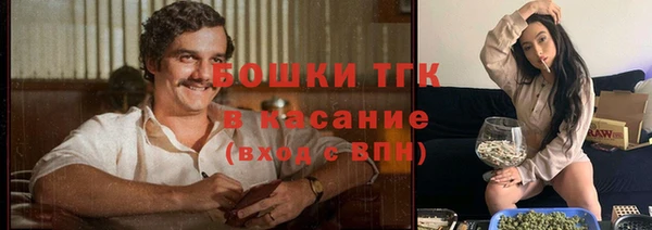 ПСИЛОЦИБИНОВЫЕ ГРИБЫ Белокуриха