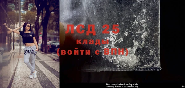 ПСИЛОЦИБИНОВЫЕ ГРИБЫ Белокуриха