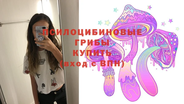 ПСИЛОЦИБИНОВЫЕ ГРИБЫ Белокуриха