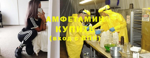 ПСИЛОЦИБИНОВЫЕ ГРИБЫ Белокуриха